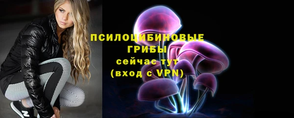 герыч Арсеньев