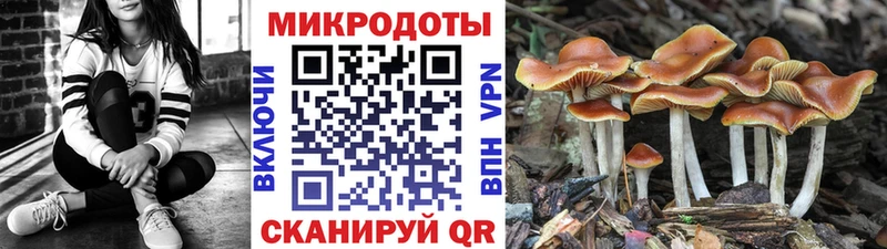 Псилоцибиновые грибы прущие грибы  Октябрьск 